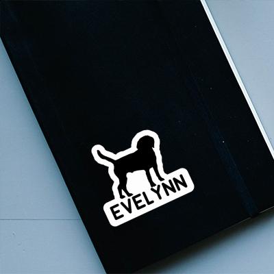 Autocollant Chien Evelynn Image