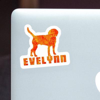 Evelynn Sticker Dog Gift package Image