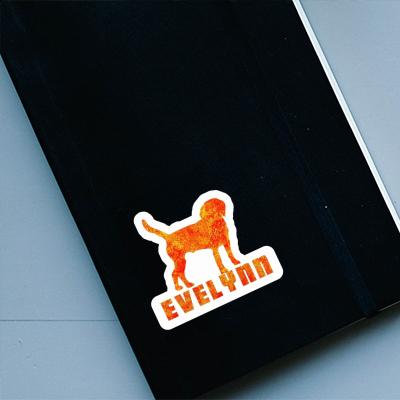 Evelynn Sticker Dog Laptop Image