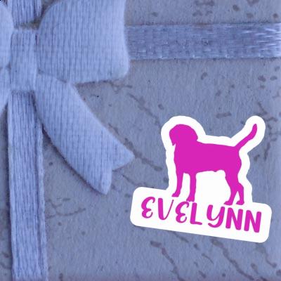 Sticker Hund Evelynn Gift package Image