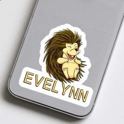 Evelynn Sticker Hedgehog Image