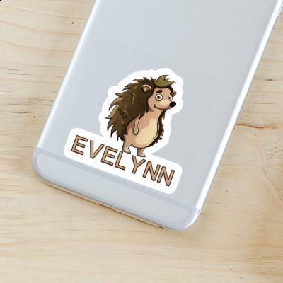 Sticker Hedgehog Evelynn Notebook Image