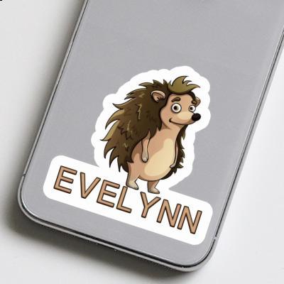 Sticker Hedgehog Evelynn Image