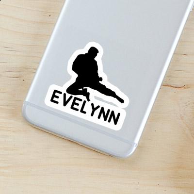 Sticker Evelynn Karateka Gift package Image