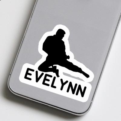 Evelynn Sticker Karateka Image