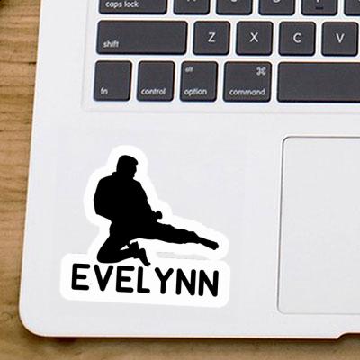 Sticker Evelynn Karateka Gift package Image