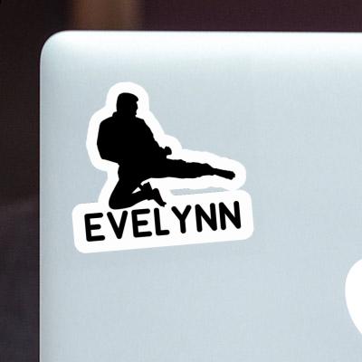 Evelynn Sticker Karateka Gift package Image