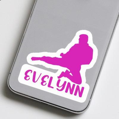 Karateka Sticker Evelynn Gift package Image