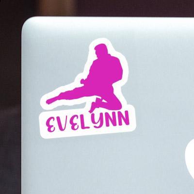 Karateka Sticker Evelynn Notebook Image