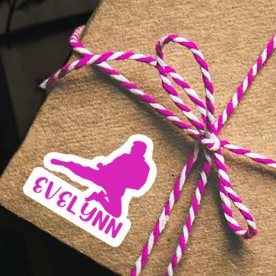 Karateka Sticker Evelynn Gift package Image