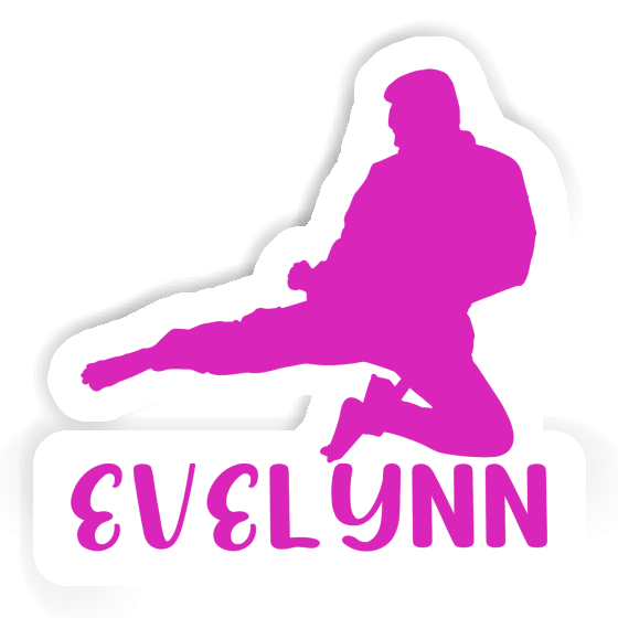 Karateka Sticker Evelynn Image