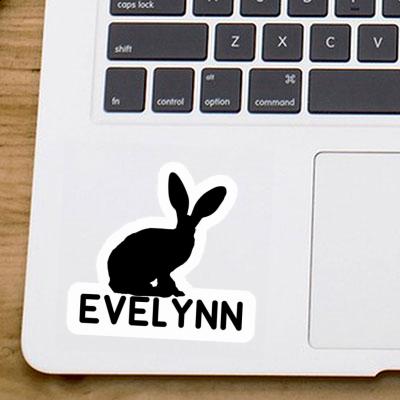 Autocollant Evelynn Lapin Laptop Image