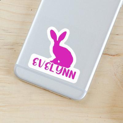 Lapin Autocollant Evelynn Gift package Image