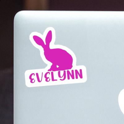 Lapin Autocollant Evelynn Gift package Image