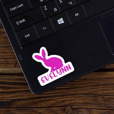 Lapin Autocollant Evelynn Gift package Image