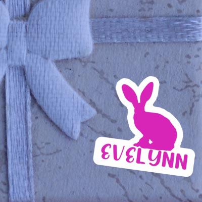 Lapin Autocollant Evelynn Notebook Image