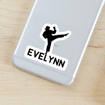 Evelynn Sticker Karateka Image