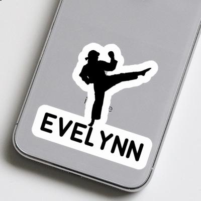 Evelynn Sticker Karateka Notebook Image