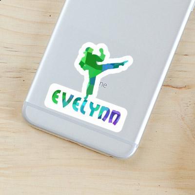 Karateka Sticker Evelynn Laptop Image