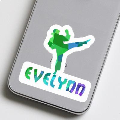 Karateka Aufkleber Evelynn Laptop Image