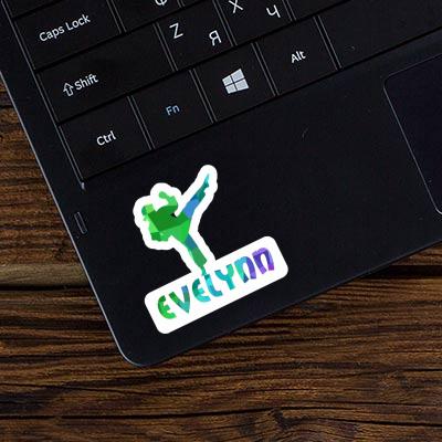 Karatéka Autocollant Evelynn Laptop Image