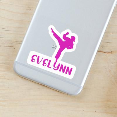 Evelynn Sticker Karateka Laptop Image