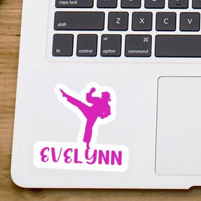 Evelynn Sticker Karateka Gift package Image