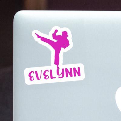 Evelynn Sticker Karateka Gift package Image