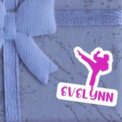 Evelynn Sticker Karateka Gift package Image