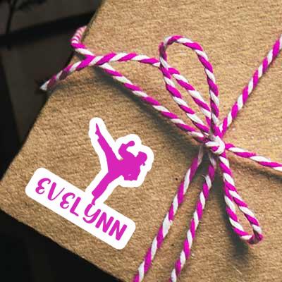 Evelynn Sticker Karateka Gift package Image