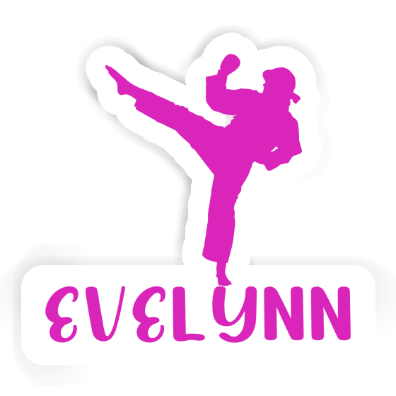 Evelynn Sticker Karateka Image