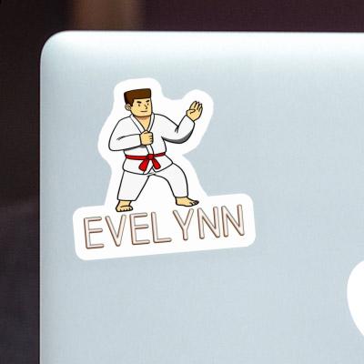 Sticker Evelynn Karateka Notebook Image