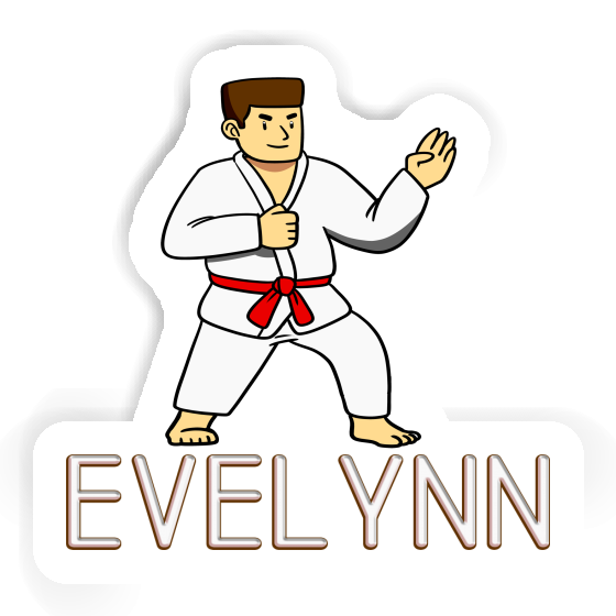 Sticker Evelynn Karateka Laptop Image