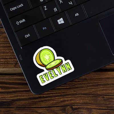 Evelynn Sticker Kiwi Gift package Image