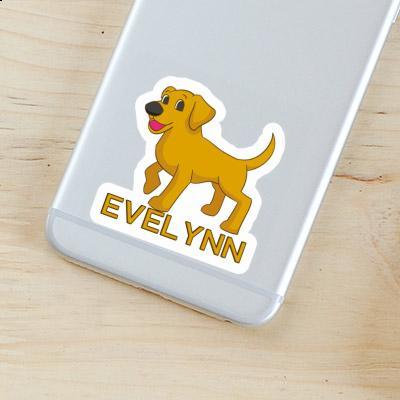 Evelynn Aufkleber Labrador Gift package Image