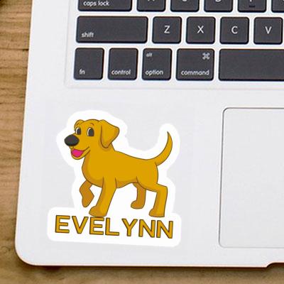 Autocollant Evelynn Labrador Laptop Image