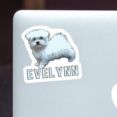 Evelynn Sticker Maltese Notebook Image