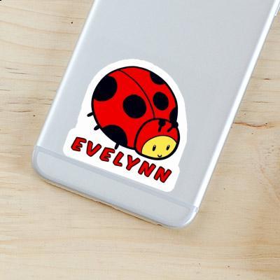 Evelynn Sticker Marienkäfer Laptop Image