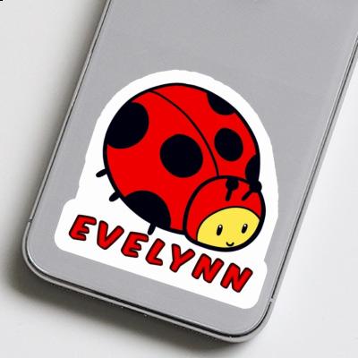 Autocollant Coccinelle Evelynn Gift package Image