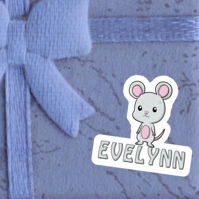 Evelynn Sticker Maus Gift package Image