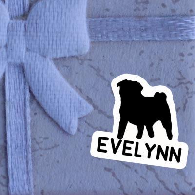 Evelynn Autocollant Carlin Gift package Image