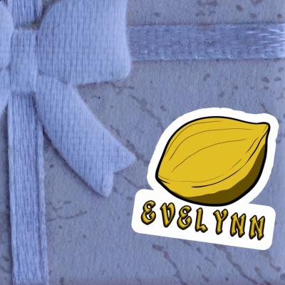 Sticker Evelynn Nut Gift package Image