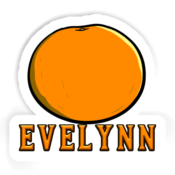 Evelynn Sticker Orange Notebook Image