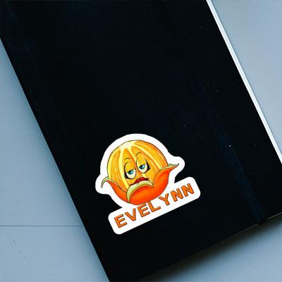 Sticker Evelynn Orange Notebook Image