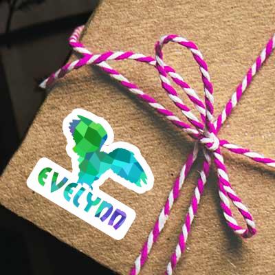 Autocollant Evelynn Hibou Gift package Image