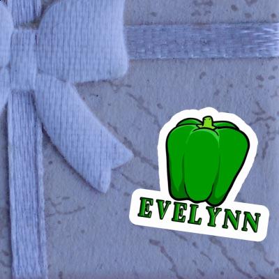 Evelynn Sticker Paprika Gift package Image