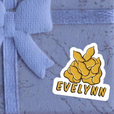 Evelynn Sticker Nuss Image