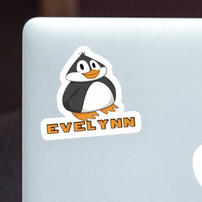 Pinguin Sticker Evelynn Gift package Image