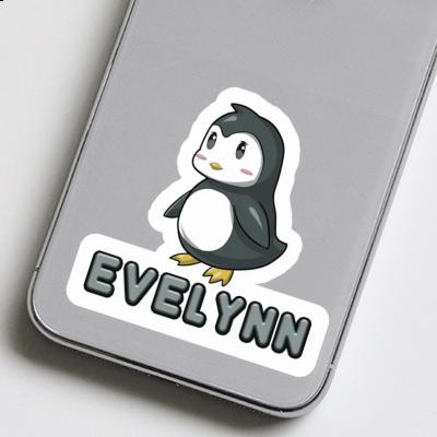 Pingouin Autocollant Evelynn Gift package Image