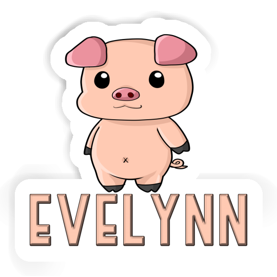 Evelynn Sticker Pigg Gift package Image